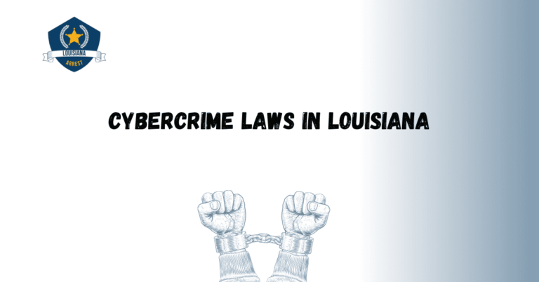 Cybercrime Laws in Louisiana 1