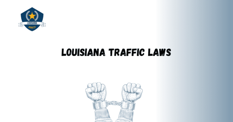Louisiana Traffic Laws 1