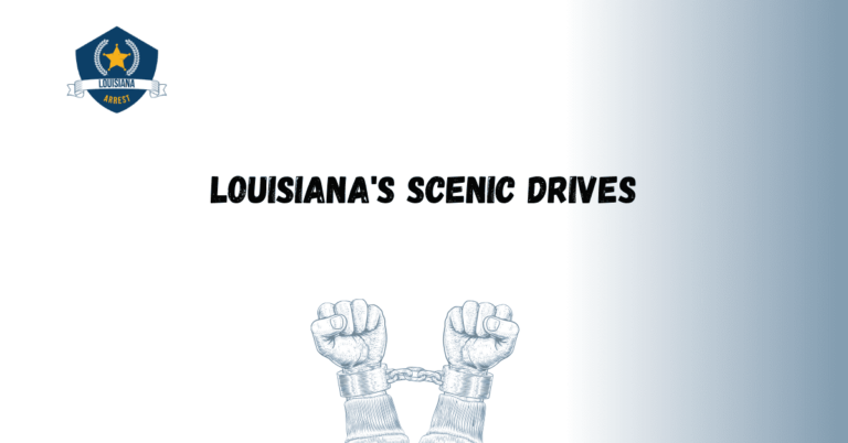Louisiana's Scenic Drives